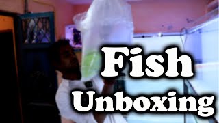 🔶Wholesale Aquarium fish Unboxing in ghaziabad |aquarium shop in delhi✅