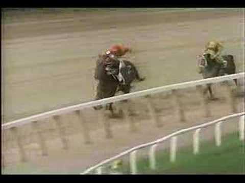 Inside Information - 1995 Breeders Cup Distaff