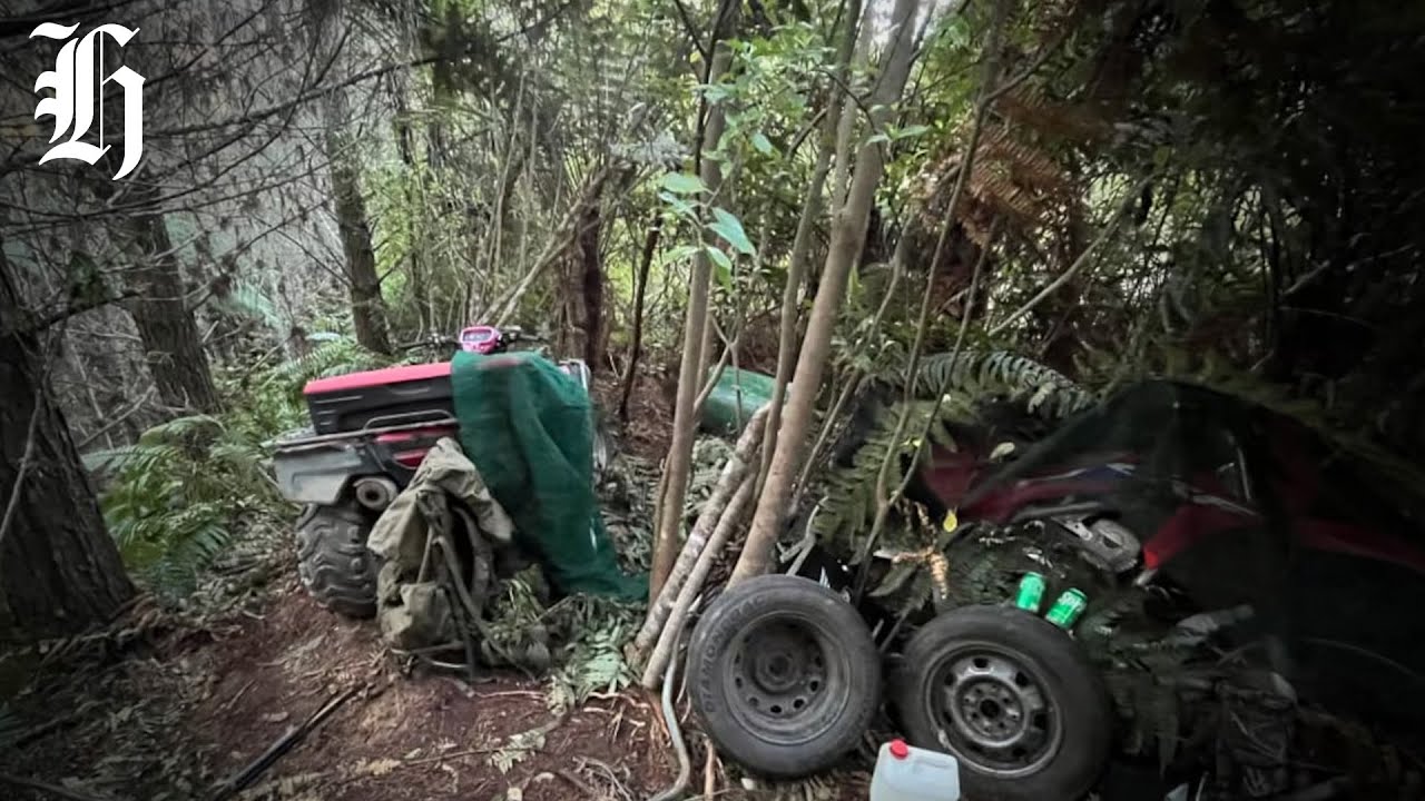 Tom Phillips’ son held rifle as armed police negotiators approached bush hideout | Herald NOW