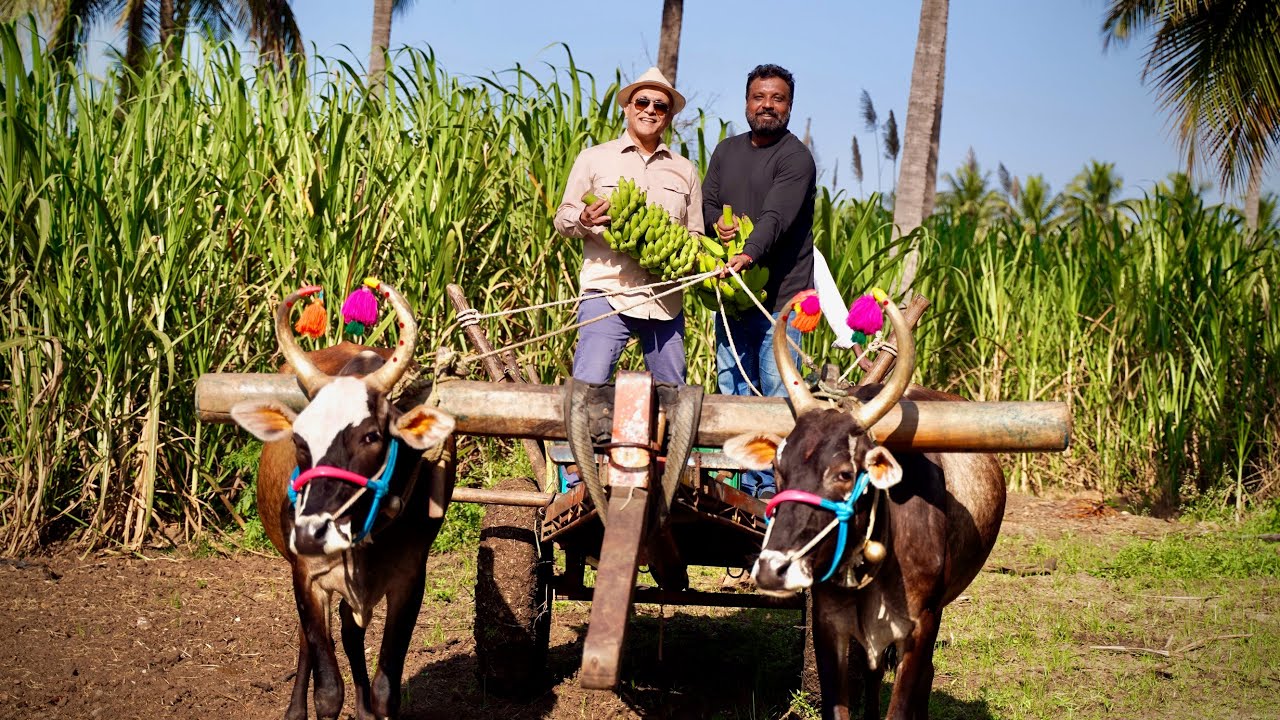An engineer came home to build a farmers' movement.