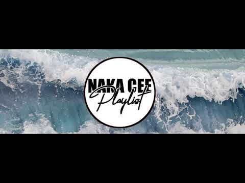 STAP PINIS(2019)Wild Pack Feat.Slim Gidix