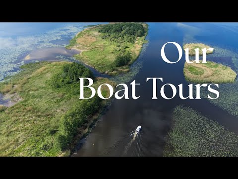 Plaukimas kateriu Nidoje #2