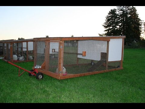 , title : 'DIY Mobile Chicken Coops  BY MOBILE CHICKENS LLC'