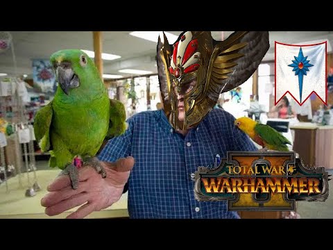 TYRION & HIS PET ARCANE PHOENIX | High Elves vs Tomb Kings - Total War Warhammer 2