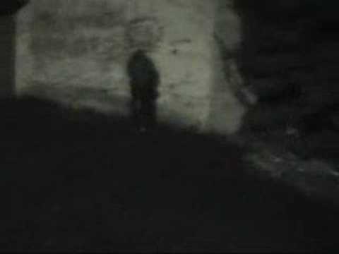 Bx Tour - Crepuscule & Tao