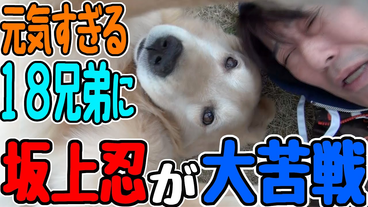 18兄弟は今日も元気いっぱい!坂上パパは大忙しです。