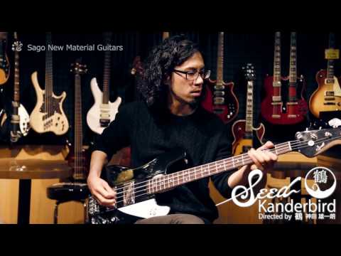 SEED Kanderbird Black Thunderbird+Precision Bass image 6