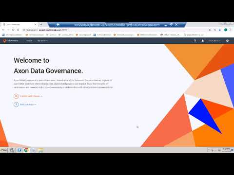 Axon Data Governance Role Administration