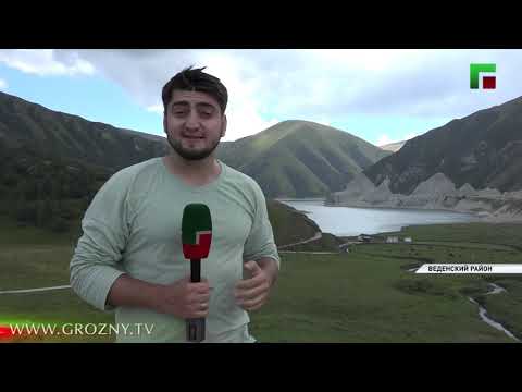 Правоохранители ЧР будут привлекать к ответственности вандалов