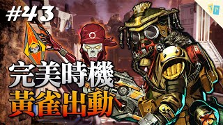 【APEX】EP43 完美時機黃雀出動！清起來！｜明天玩什麼