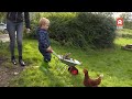 Junis opent kinderdagverblijf midden in natuur