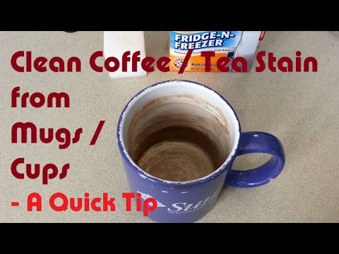 download lagu mp3 mp4 How To Get Rid Of Coffee Stains In Mugs, download lagu How To Get Rid Of Coffee Stains In Mugs gratis, unduh video klip How To Get Rid Of Coffee Stains In Mugs