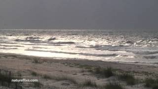 Biloxi - Jimmy Buffett (by way of Jesse Winchester)