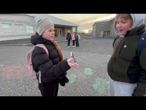 Sexan 2025 - 1.sæti: Áhrif eineltis Njarðvíkurskóli