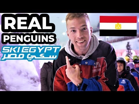 download lagu mp3 mp4 Snow City Egypt, download lagu Snow City Egypt gratis, unduh video klip Snow City Egypt
