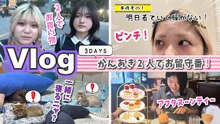 ★Vlog★かんあき2人でお留守番の３日間！食べて買って、好き放題ｗ