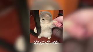 Download lagu Vidi Aldiano - Aku Cinta Dia (Speed Up) mp3