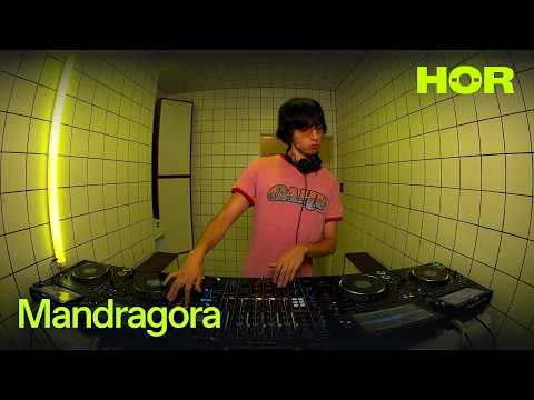 MANDRAGORA video