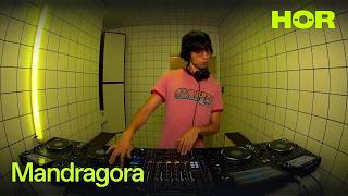 Download lagu Mandragora | HÖR - June 25 / 2026 mp3 Download lagu Mandragora | HÖR - June 25 / 2026 mp3