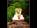 Samy Varuthu Samy Varuthu Song Tamil Vinayagar Song WhatsApp Status Vinayagar Devotional Song