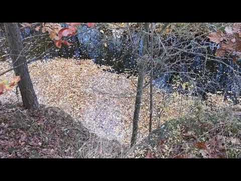 HÄSTABERGET - 201028 - södra KALLINGE - Ronneby - Huawei p30 PRO - BLEKINGE