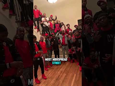 Top 5 Worst Gangs in South Carolina.