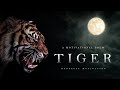 The Tyger – William Blake (Powerful Life Poetry)