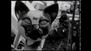 The Cakekitchen - Dogs And Cats (Official Video)
