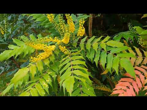 Welcome, Welcome, Day of Rest