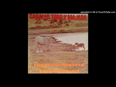 12. Mi Llanura En Entras De Agua - Edgar Hernandez