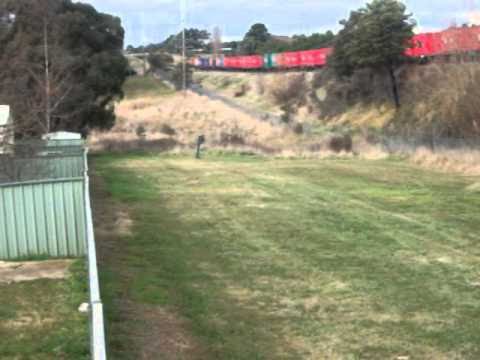 pacific national 81 class