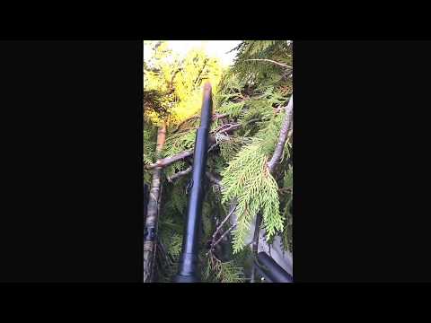 Waswanipi ( windy lake goose break.. Waptum shooting a loner " funny ")