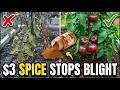 $3 Pantry Spice STOPS Tomato Blight FOREVER. Big AG Buried It! Why? DEFAULT Thumbnail