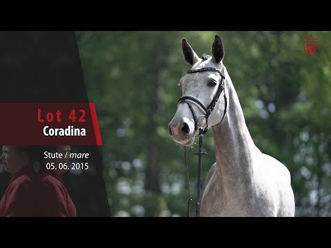 42 Coradina Stute v. Cornet Obolensky - Cassini I