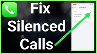 How To Fix Silenced Calls On iPhone