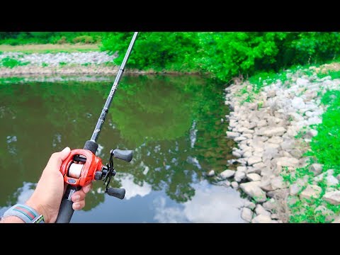 Summer Bass Fishing - WALMART Challenge! Video