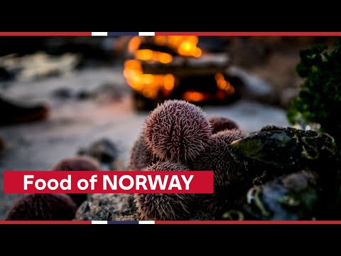 Weird and Wonderful NORWEGIAN FOOD