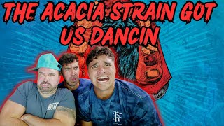 GROOVY AS HELL LETS GO  - The Acacia Strain - Nightman (Reaction)