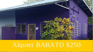 preview picture of video 'Alquila apartamento BARATO $250. Cheap Apartment RENT $250 DAVID. Prestige Panama Realty. 6981.5000'