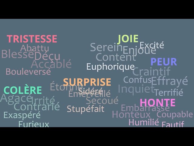 Projet Résilience UQAM: Souplesse émotionnelle