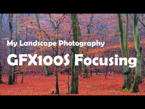 My Photography Fujifilm GFX100S Focusing