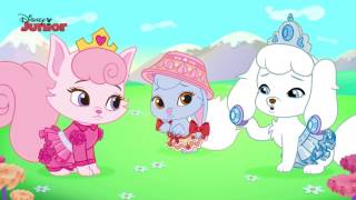 Whisker Haven Tales Full Episodes NEW Compilation | Whisker Haven Tales Disney Junior