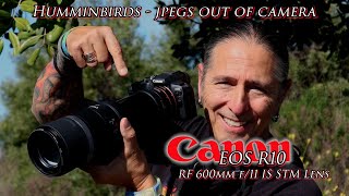 600 F11 lens and the R10 - is it good for wildlife