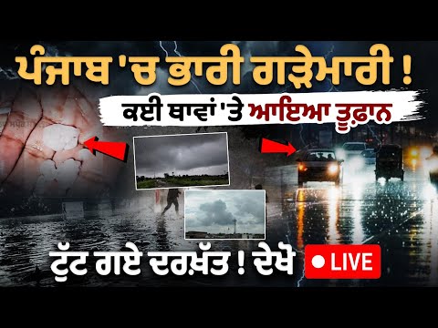 पंजाब में भारी ओलावृष्टि! कई स्थानों पर तूफान आया, पेड़ उखड़ गए! लाइव देखें