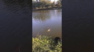 Рыбалка в софрино форум последняя страница