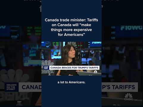 Canada trade minister: Tariffs on Canada will 'make things more expensive for Americans'
