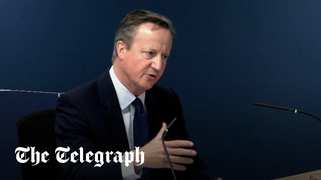 David Cameron admits prioritising flu pandemic was 'mistake'