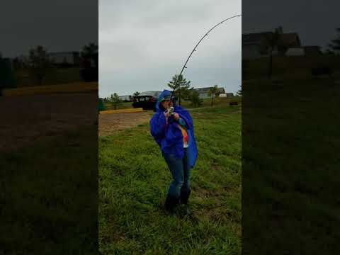 Her first flathead catfish at Zetts catfish farm