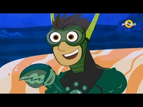 Braca Kret - Razmena Školjki Raka Samca