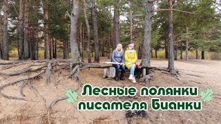 Новости пешком. Лесные полянки писателя Бианки